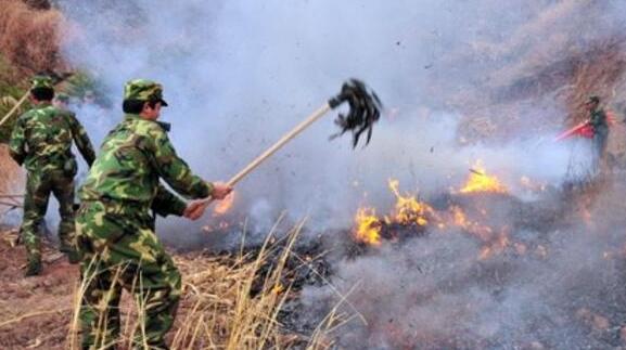 内蒙古森林草原火险等级居高不下 局地伴有沙尘天气