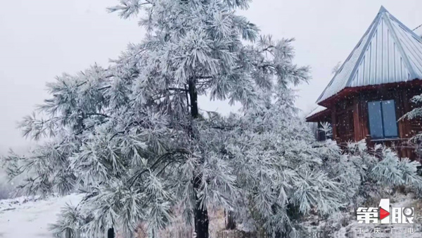 昨天重庆城口降下今年秋冬第一场雪