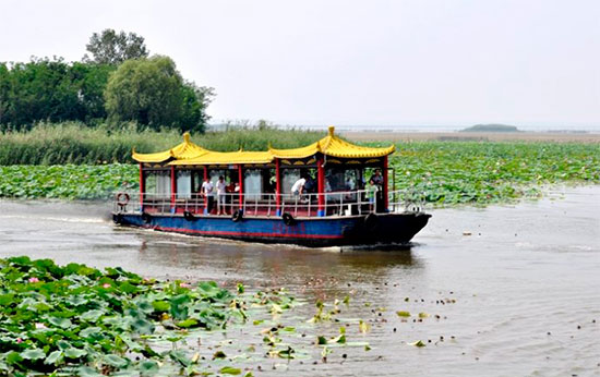 微山湖湿地红荷风景区门票