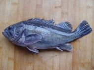 清蒸黑头鱼的做法步骤1