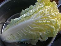滑子菇炖白菜的做法步骤2