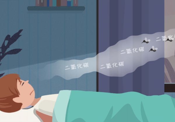 蚊子喜欢咬什么血型的人 蚊子喜欢咬哪些人