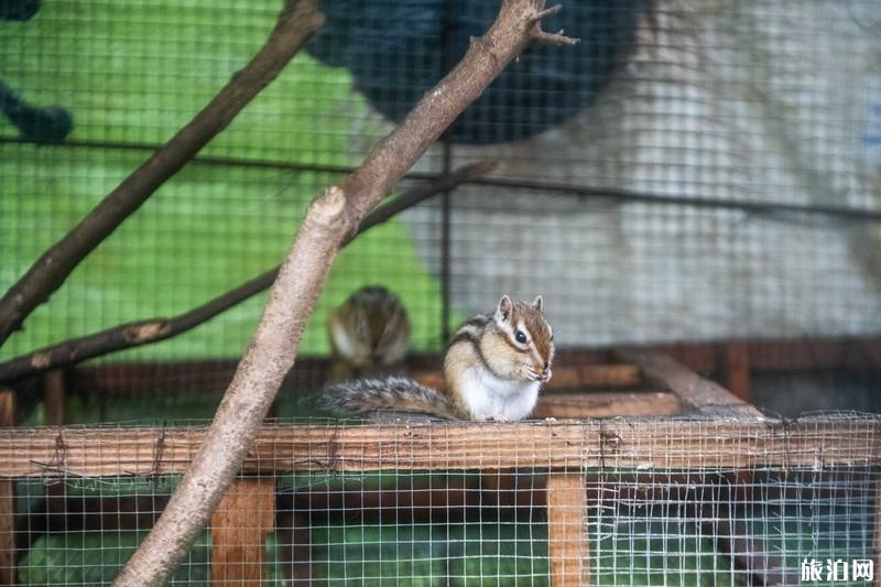 东莞观音山国家森林公园好玩吗 东莞观音山国家森林公园游玩攻略 东莞观音山国家森林公园好玩吗 东莞观音山国家森林公园游玩攻略