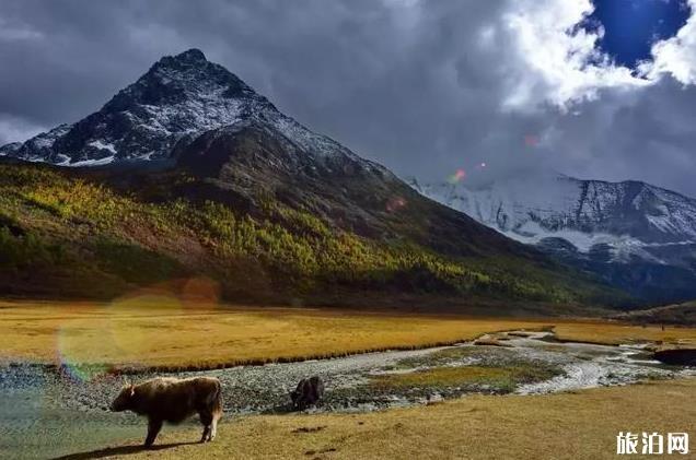 稻城亚丁旅游攻略景点推荐