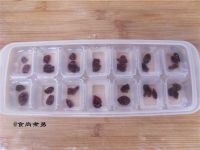 蔓越莓冰鸡尾酒的做法步骤3