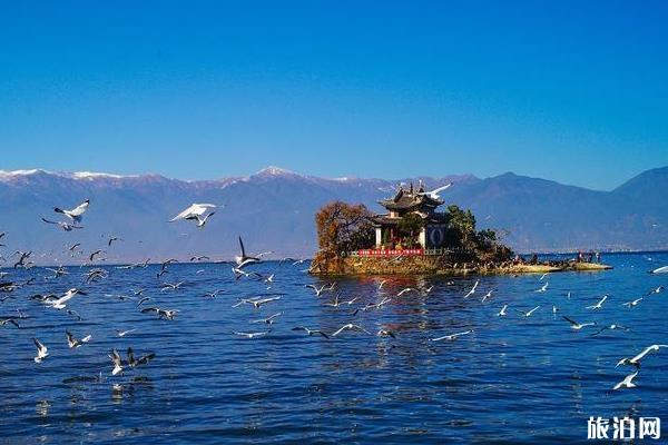 大理洱海拍照吃住玩最新攻略