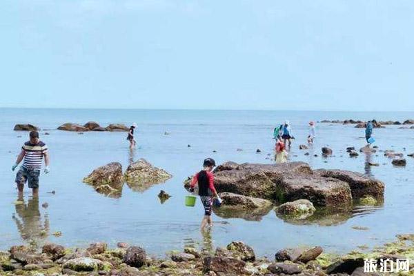 2019潭门赶海节时间+地点+交通+活动介绍