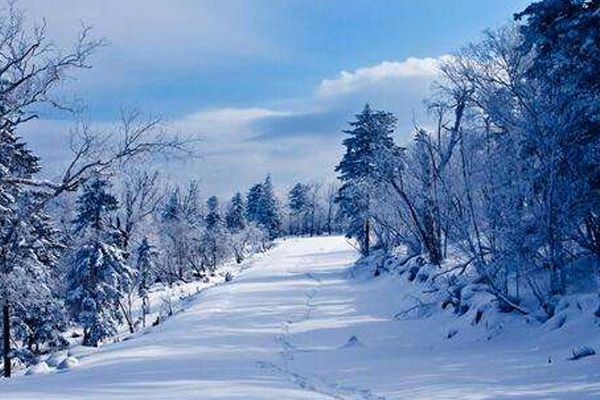 哈尔滨滑雪场哪个好 哈尔滨滑雪场推荐