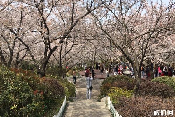 徐州彭祖园有什么好玩的 