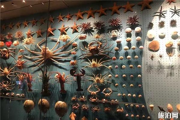 国家海洋博物馆有几个展厅