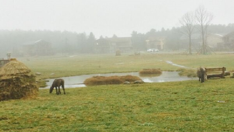 重庆附近四月去哪里旅游最好 重庆附近四月旅游好去处