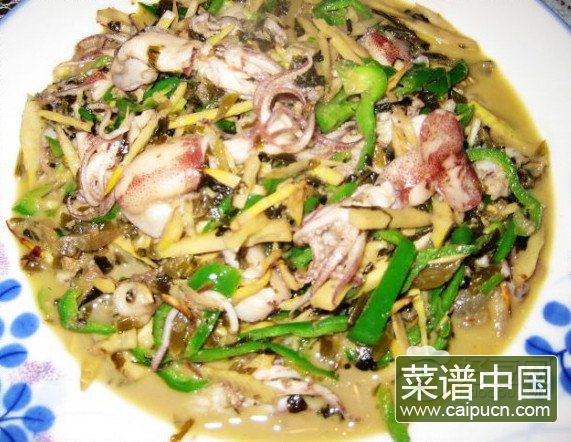 春笋八爪鱼