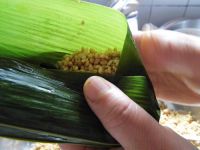 花生猪肉粽子的做法步骤9