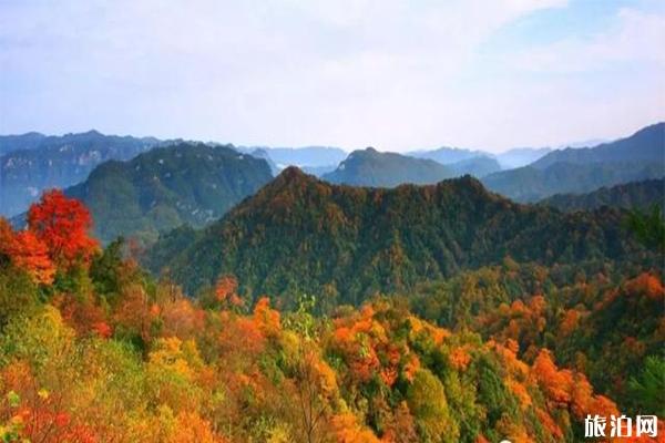 四川光雾山周边酒店预订 附电话号码