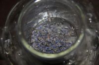 薰衣草柠檬方块茶的做法步骤3