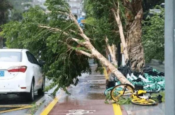 2020年8月台风为何总爱登陆前加强 专家：今年是有特殊原因的