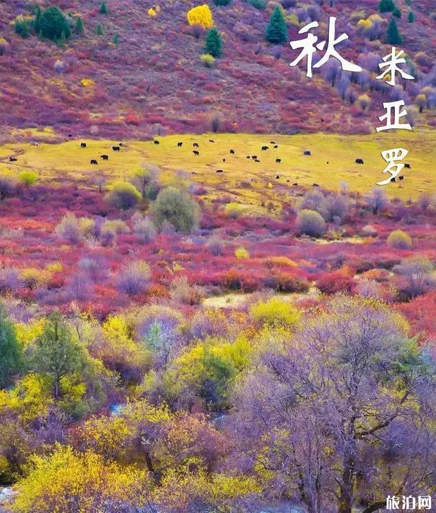 最适合秋天旅游的景点有哪些