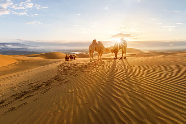 中国的沙漠有哪些 中国有沙漠的地方
