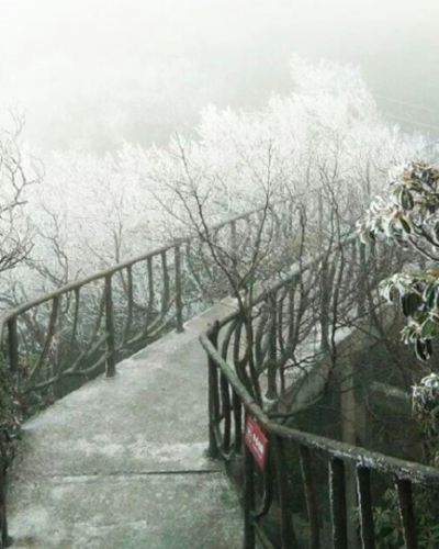 金佛山景区迎今冬首场雾凇 今明天重庆低温雨雪持续
