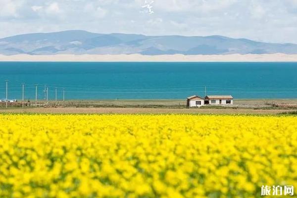 青海湖旅游攻略2019