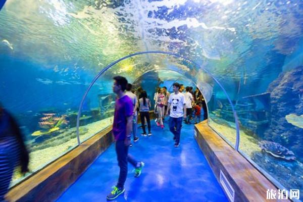 2019昆明花都海洋世界门票价格+表演时间表