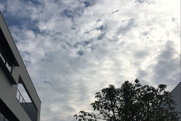 广州周末阴冷持续 下周气温回升仿若换季