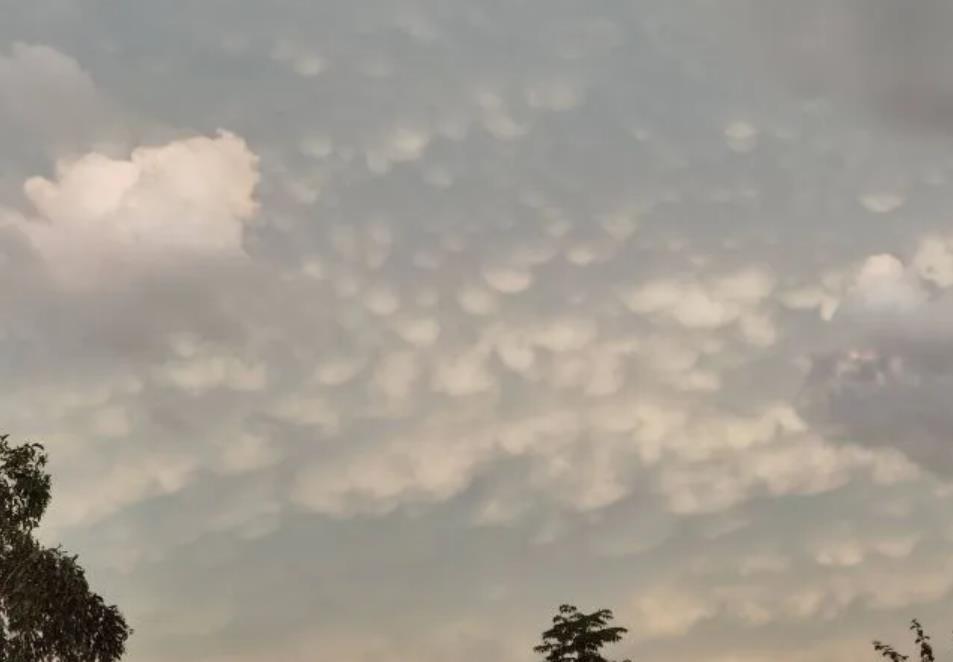 海南乳状云是怎么回事？台风是假雷阵雨是真