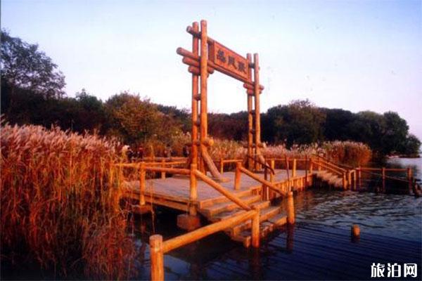 扬州凤凰岛国家湿地公园门票多少钱 附桑葚采摘信息