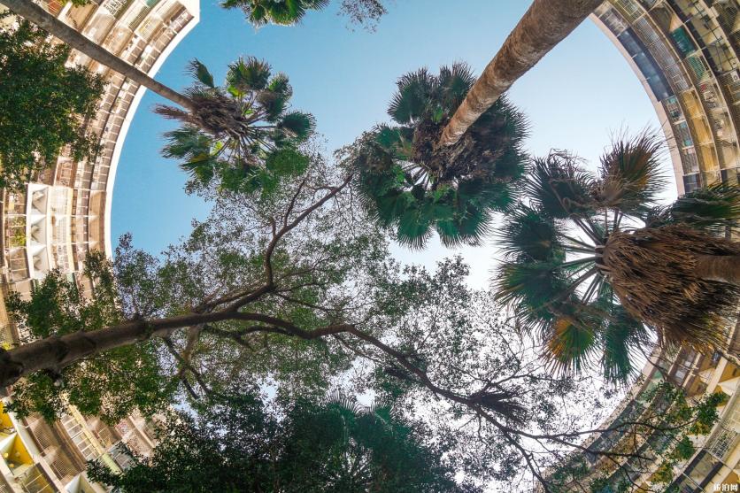 高雄有哪些小清新景点