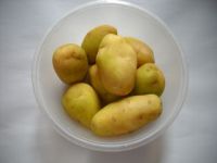牛肚烧土豆的做法步骤1