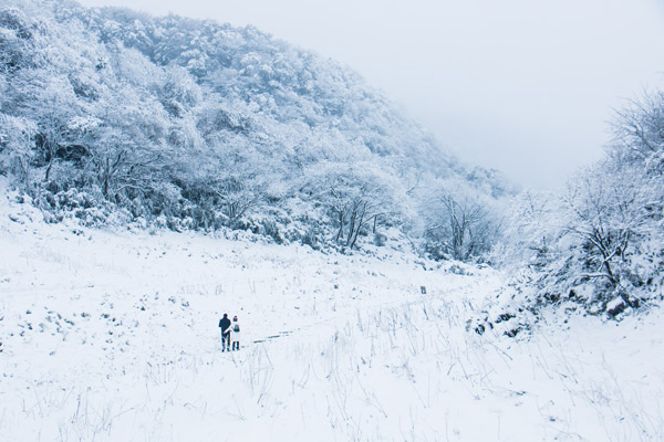 重庆看雪景的地方有哪些 重庆哪里有雪景