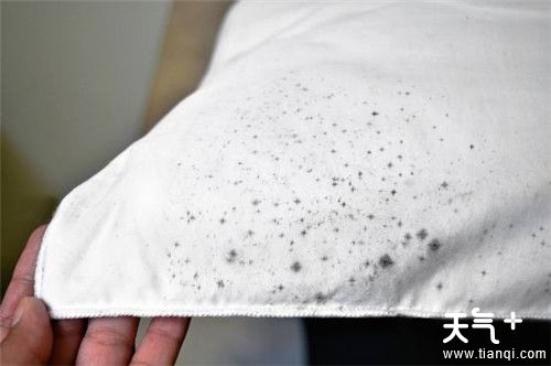 衣服发霉了怎么洗  衣服发霉该如何清洗