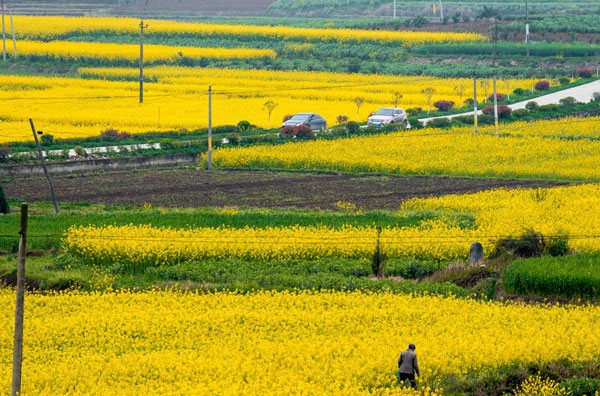 适合春游的地方有哪些 适合春游的国内景点
