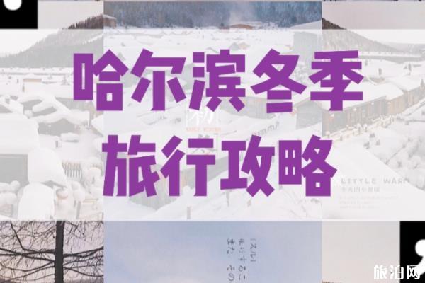 哈尔滨冬季旅游景点攻略及最佳路线