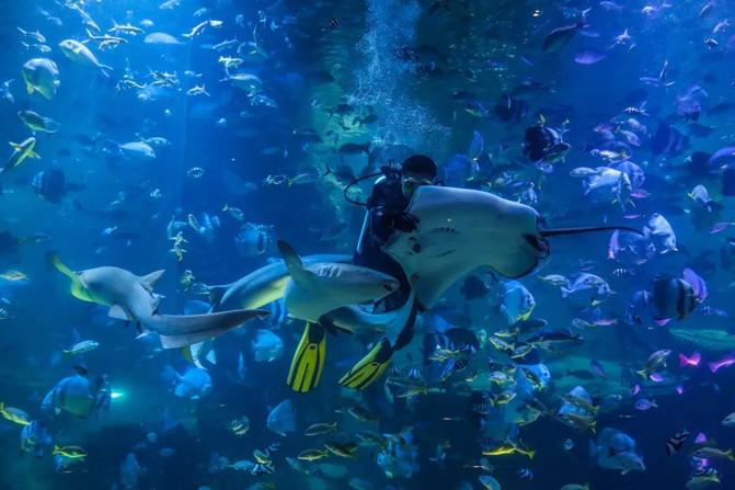 西宁童梦乐园在哪 西宁童梦乐园游玩攻略 西宁童梦乐园在哪 西宁童梦乐园游玩攻略