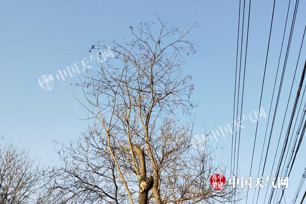 明后天河北大风降温最低-20℃ 秦皇岛等地有小雪