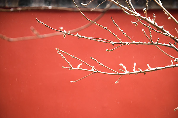 春节国内适合旅游的地方 春节国内旅游去哪儿好