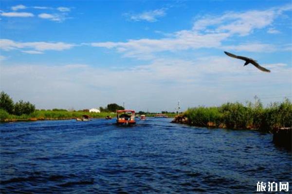 白洋淀游玩省钱玩法  