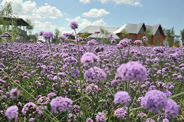 伊犁旅游景点介绍 伊犁旅游景点推荐