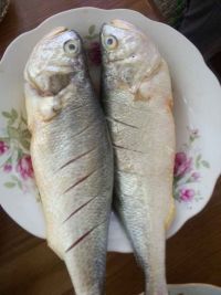 家炖黄花鱼的做法步骤1
