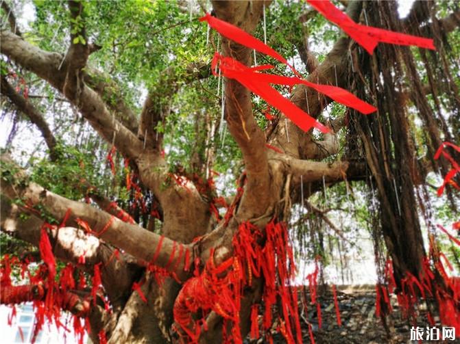 浯屿岛攻略 浯屿岛好玩吗