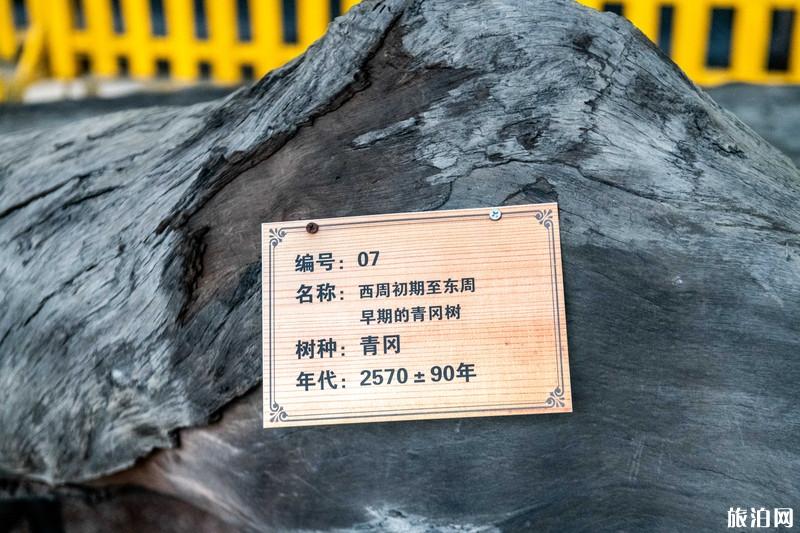 东莞观音山国家森林公园好玩吗 东莞观音山国家森林公园游玩攻略 东莞观音山国家森林公园好玩吗 东莞观音山国家森林公园游玩攻略