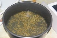 水晶桂花羊羹的做法步骤11