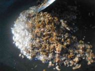 中秋传统菜--合家团圆芽菜扣肉的做法步骤6