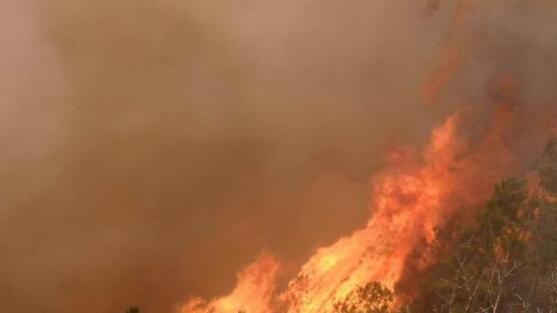 云南丽江龙蟠乡森林火灾最新消息 目前明火已扑灭正在守观察