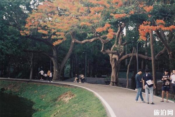 2019清迈水灯节放天灯活动取消 清迈好玩的地方推荐