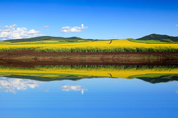 呼伦贝尔大草原什么季节去最美 如何到达呼伦贝尔大草原
