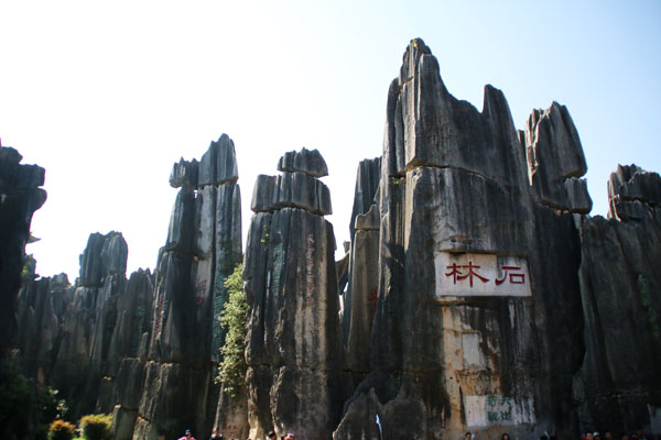 石林门票多少钱一张 石林风景区门票