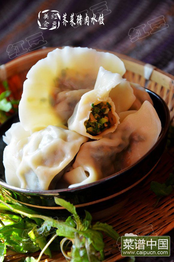 荠菜猪肉水饺