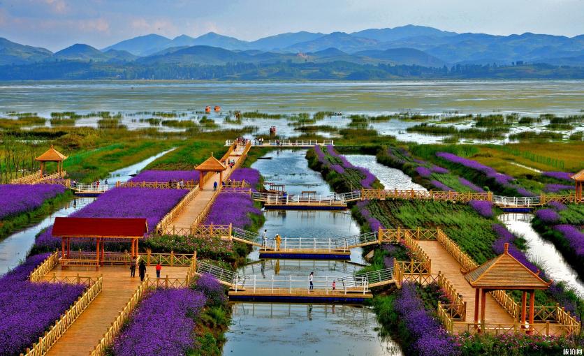 贵州秋天旅游景点推荐 威宁草海最佳旅游时间 贵州秋天旅游景点推荐 威宁草海最佳旅游时间